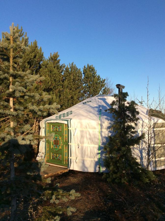 Valhalla Yurts Odin Selfoss Eksteriør bilde
