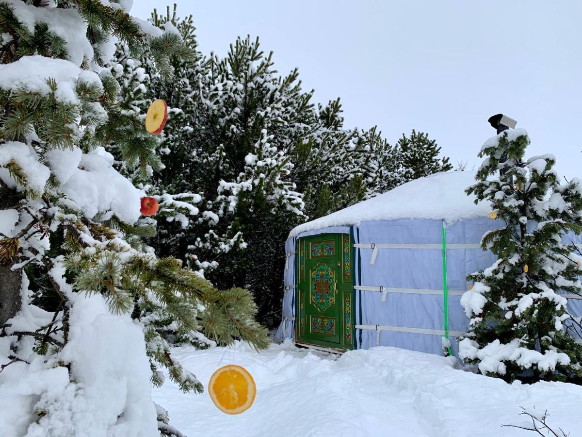 Valhalla Yurts Odin Selfoss Eksteriør bilde